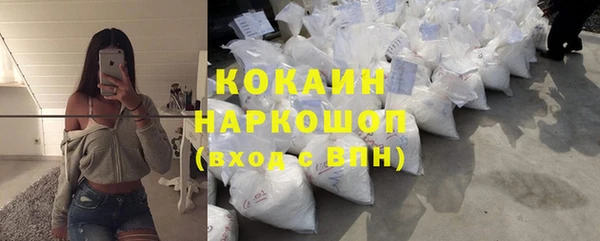 дурь Алексин