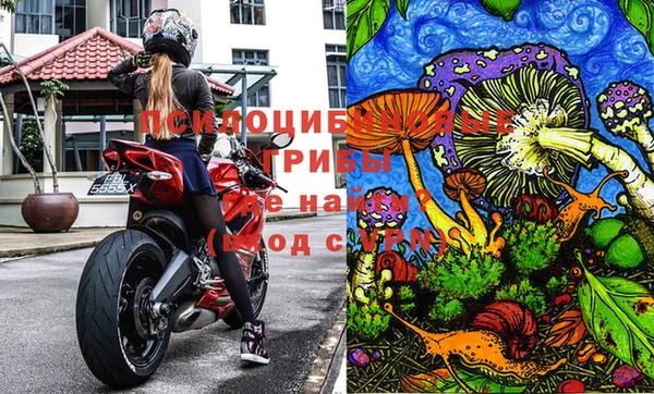 Альфа ПВП Алексеевка