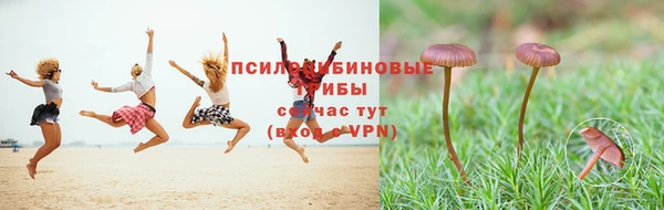 дурь Алексин