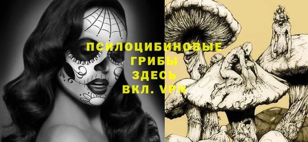 МДПВ Алзамай