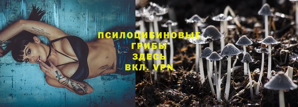 МДПВ Алзамай