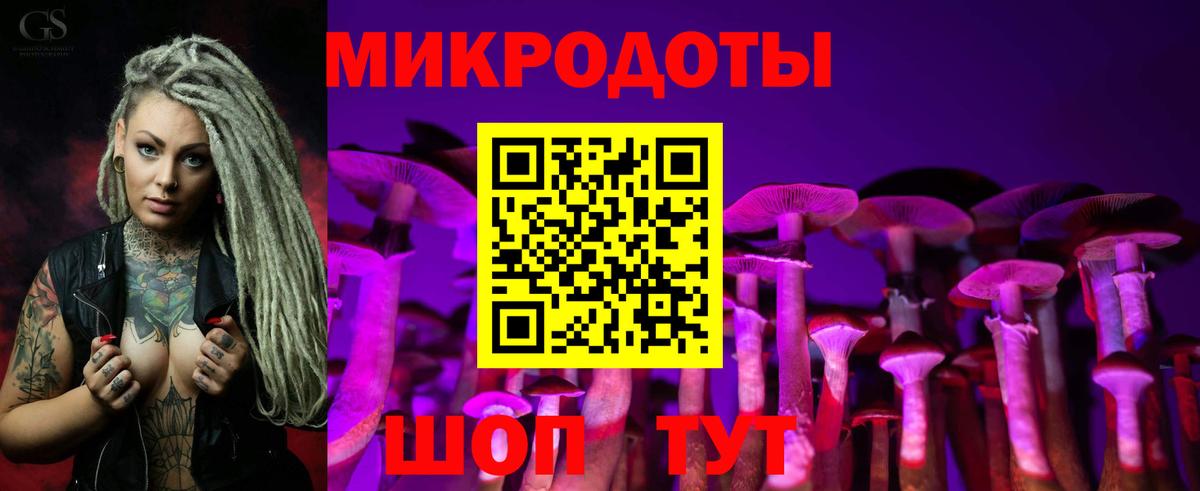 Галлюциногенные грибы Cubensis Сорочинск